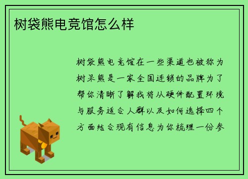 树袋熊电竞馆怎么样
