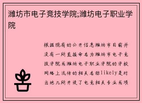 潍坊市电子竞技学院;潍坊电子职业学院
